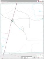 La Salle County, TX Wall Map