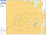 Lake Forest <br /> Wall Map <br /> Basic Style 2025 Map