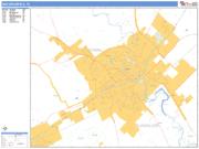 New Braunfels <br /> Wall Map <br /> Basic Style 2025 Map