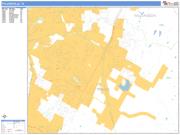 Pflugerville <br /> Wall Map <br /> Basic Style 2025 Map