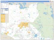 Marion County, FL <br /> Wall Map <br /> Zip Code <br /> Basic Style 2025 Map
