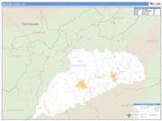 Madison County, NC <br /> Wall Map <br /> Zip Code <br /> Basic Style 2025 Map