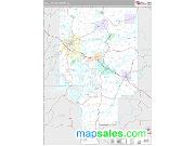 Tallapoosa County, AL <br /> Wall Map <br /> Premium Style 2025 Map