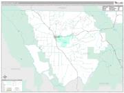 Custer County, CO <br /> Wall Map <br /> Premium Style 2025 Map