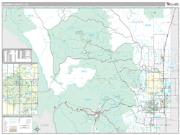 Larimer County, CO <br /> Wall Map <br /> Premium Style 2025 Map