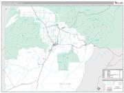 Montezuma County, CO <br /> Wall Map <br /> Premium Style 2025 Map