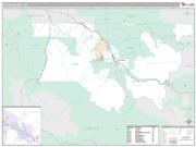 Pitkin County, CO <br /> Wall Map <br /> Premium Style 2025 Map