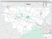 Gadsden County, FL <br /> Wall Map <br /> Premium Style 2025 Map