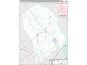 Effingham County, GA <br /> Wall Map <br /> Premium Style 2025 Map