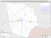 Evans County, GA <br /> Wall Map <br /> Premium Style 2025 Map