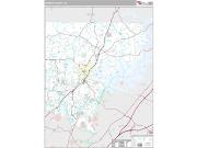 Forsyth County, GA <br /> Wall Map <br /> Premium Style 2025 Map