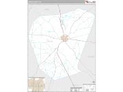 Jenkins County, GA <br /> Wall Map <br /> Premium Style 2025 Map