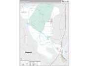 Alexander County, IL <br /> Wall Map <br /> Premium Style 2025 Map