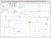 Washington County, IL <br /> Wall Map <br /> Premium Style 2025 Map