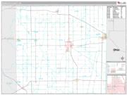 Randolph County, IN <br /> Wall Map <br /> Premium Style 2025 Map
