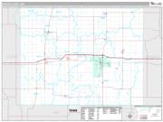 Martin County, MN <br /> Wall Map <br /> Premium Style 2025 Map