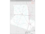 Carroll County, MS <br /> Wall Map <br /> Premium Style 2025 Map
