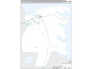 Tyrrell County, NC <br /> Wall Map <br /> Premium Style 2025 Map
