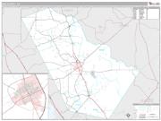 Bee County, TX <br /> Wall Map <br /> Premium Style 2025 Map