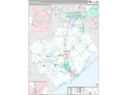 Brazoria County, TX <br /> Wall Map <br /> Premium Style 2025 Map