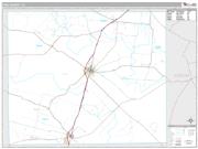 Frio County, TX <br /> Wall Map <br /> Premium Style 2025 Map