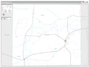 Irion County, TX <br /> Wall Map <br /> Premium Style 2025 Map