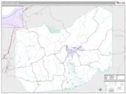 Taylor County, WV <br /> Wall Map <br /> Premium Style 2025 Map