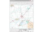 Walworth County, WI <br /> Wall Map <br /> Premium Style 2025 Map