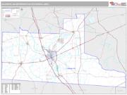 Valdosta Metro Area <br /> Wall Map <br /> Premium Style 2025 Map