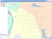 Conway <br /> Wall Map <br /> Color Cast Style 2025 Map