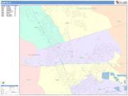 Dublin <br /> Wall Map <br /> Color Cast Style 2025 Map