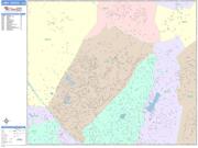Lake Forest <br /> Wall Map <br /> Color Cast Style 2025 Map