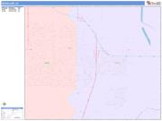 Woodland <br /> Wall Map <br /> Color Cast Style 2025 Map