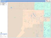 Wellington <br /> Wall Map <br /> Color Cast Style 2025 Map