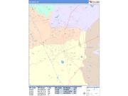 Valdosta <br /> Wall Map <br /> Color Cast Style 2025 Map