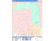 Palatine <br /> Wall Map <br /> Color Cast Style 2025 Map