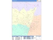 Rocky Mount <br /> Wall Map <br /> Color Cast Style 2025 Map