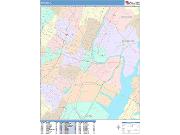 Newark <br /> Wall Map <br /> Color Cast Style 2025 Map