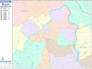 Paterson <br /> Wall Map <br /> Color Cast Style 2025 Map