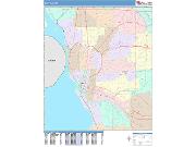 Buffalo <br /> Wall Map <br /> Color Cast Style 2025 Map
