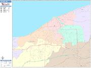 Lorain <br /> Wall Map <br /> Color Cast Style 2025 Map