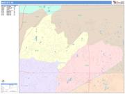 Bartlett <br /> Wall Map <br /> Color Cast Style 2025 Map