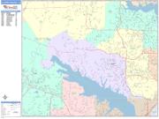 Flower Mound <br /> Wall Map <br /> Color Cast Style 2025 Map