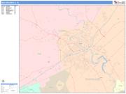 New Braunfels <br /> Wall Map <br /> Color Cast Style 2025 Map