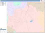 Pflugerville <br /> Wall Map <br /> Color Cast Style 2025 Map