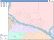 Pasco <br /> Wall Map <br /> Color Cast Style 2025 Map