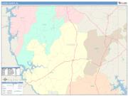 Coosa <br /> Wall Map <br /> Color Cast Style 2025 Map