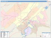 Etowah <br /> Wall Map <br /> Color Cast Style 2025 Map