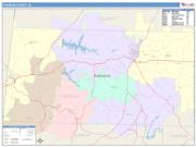 Franklin <br /> Wall Map <br /> Color Cast Style 2025 Map