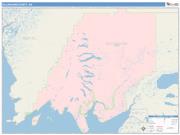 Dillingham <br /> Wall Map <br /> Color Cast Style 2025 Map
